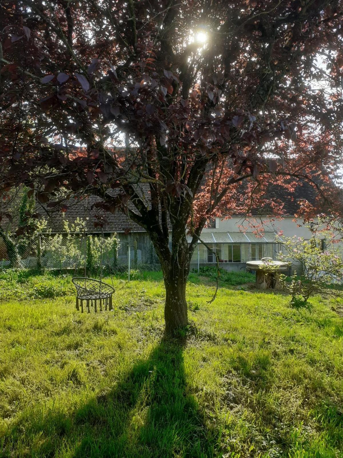 Location De Chambres Bienvenue Chez Meme Treigny Exterior foto